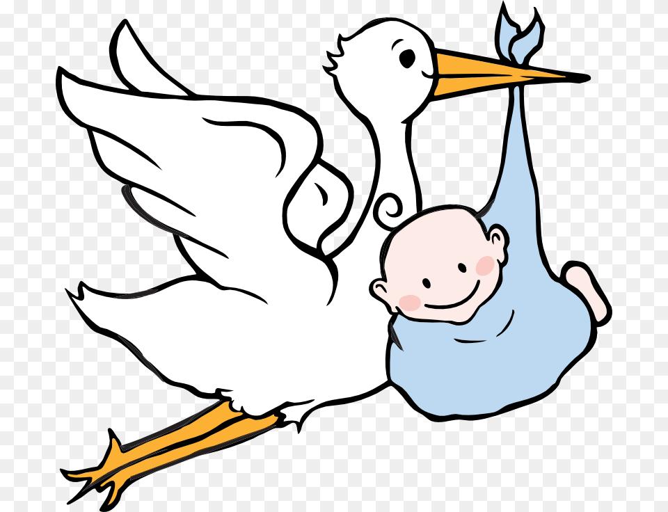 Baby Boy Clipart Stork Baby, Animal, Beak, Bird, Person Png Image