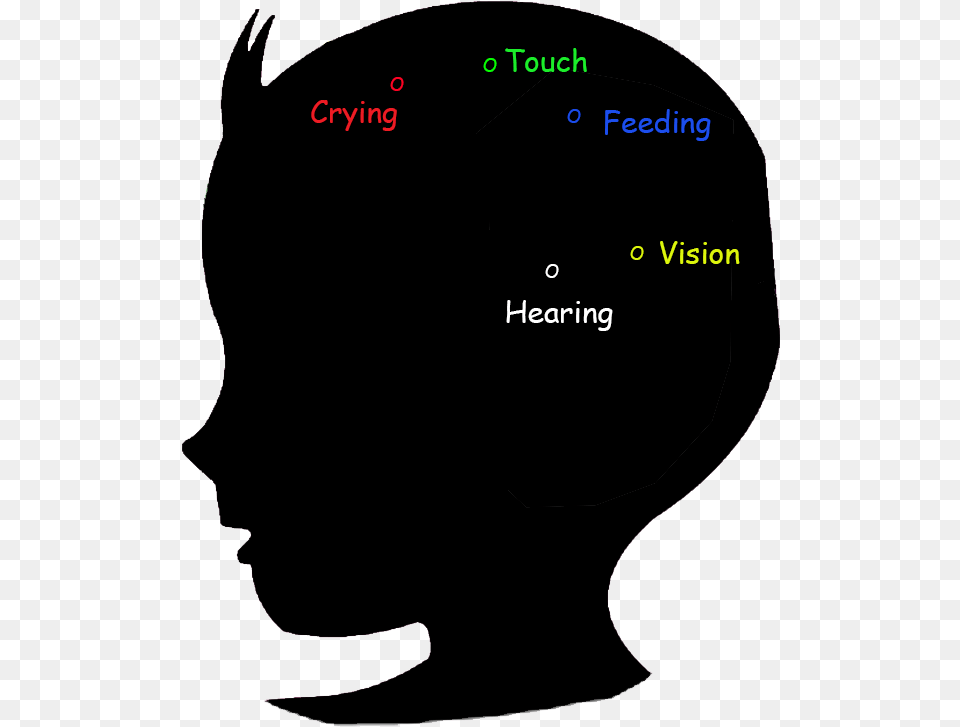 Baby Brain Development Stage 0 2 Months Social Development In Infancy Period, Chart, Plot, Silhouette Png Image