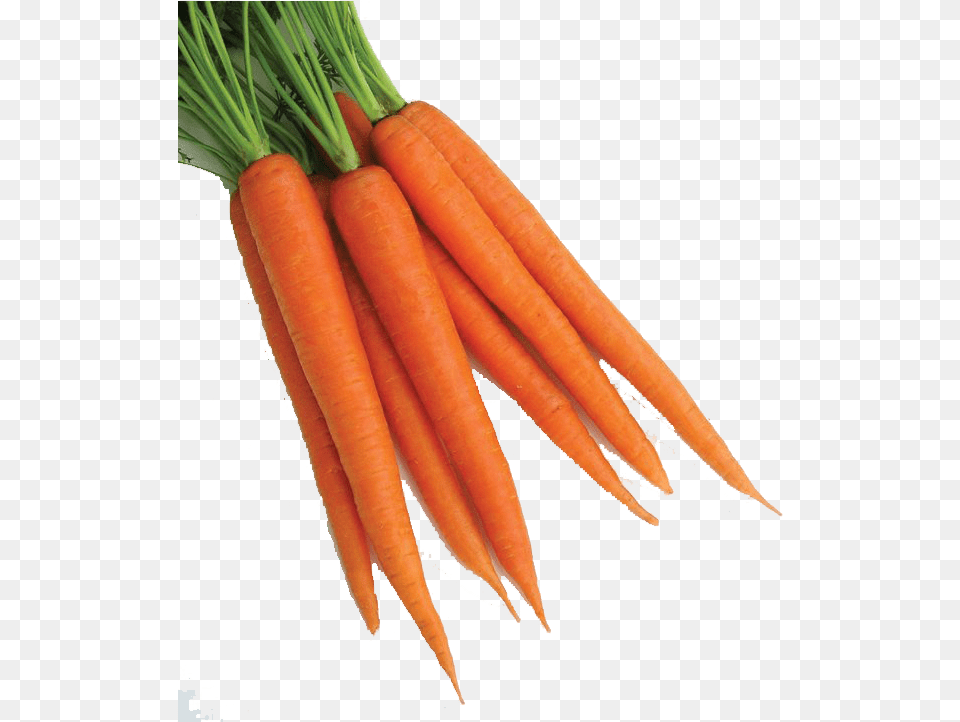 Baby Carrot, Food, Plant, Produce, Vegetable Png Image