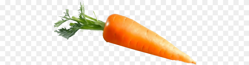 Baby Carrot, Food, Plant, Produce, Vegetable Png
