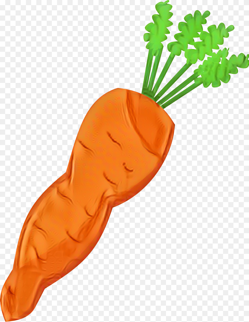 Baby Carrot Clip Art Vegetable Carrot Salad Clip Art Carrot, Food, Plant, Produce, Adult Free Png