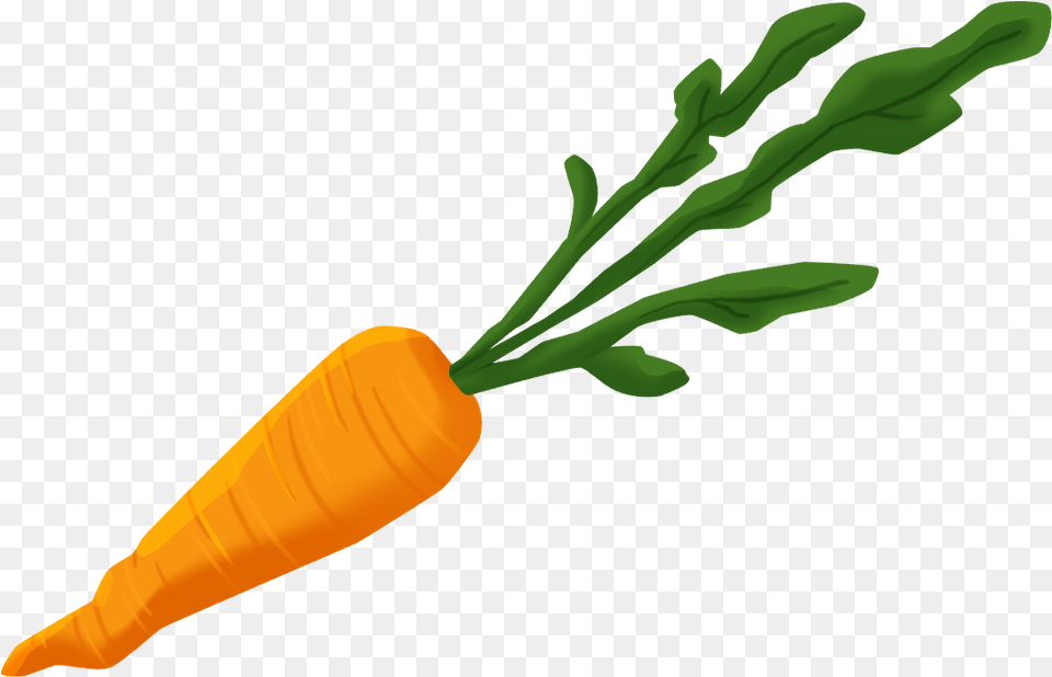 Baby Carrot Clipart Baby Carrot, Food, Plant, Produce, Vegetable Png Image