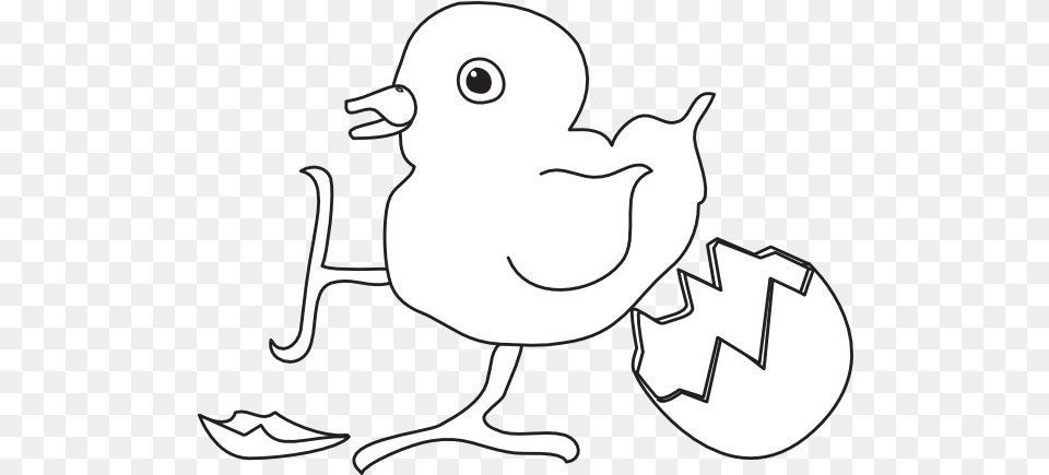Baby Chick Hatched Outline Clip Art Vector Black And White Baby Bird Cartoon, Stencil, Animal, Fish, Sea Life Png Image