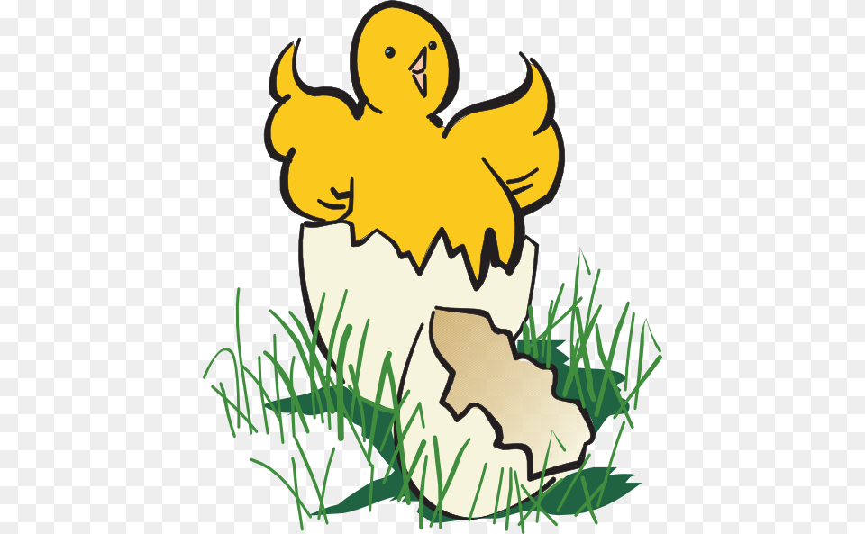 Baby Chick Hatching Clip Art, Person, Animal, Bird Png