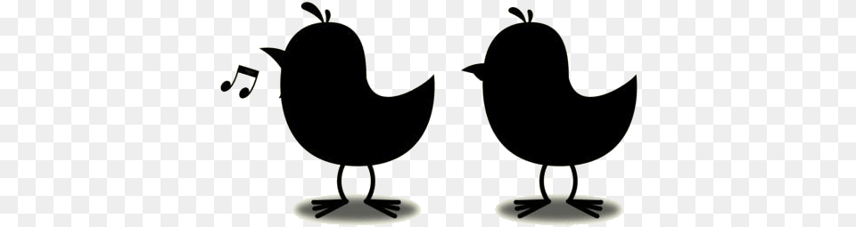 Baby Chick Transparent Bird Tweet Tweet Clipart, Silhouette, Stencil Free Png Download