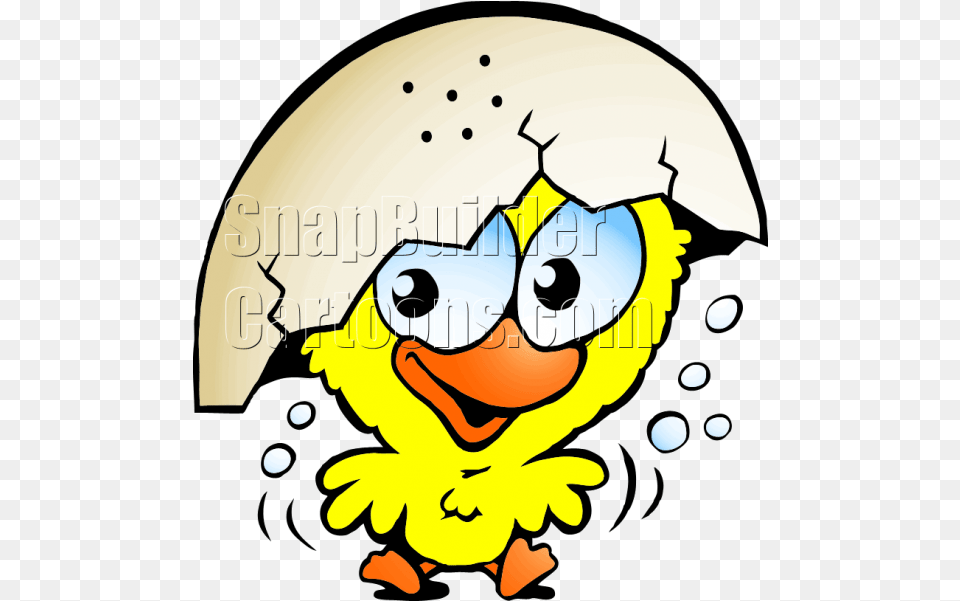 Baby Chicken Animation, Person Png Image