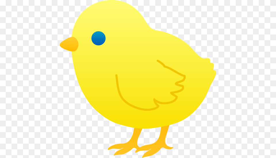 Baby Chicken Cliparts, Animal, Bird, Person Png