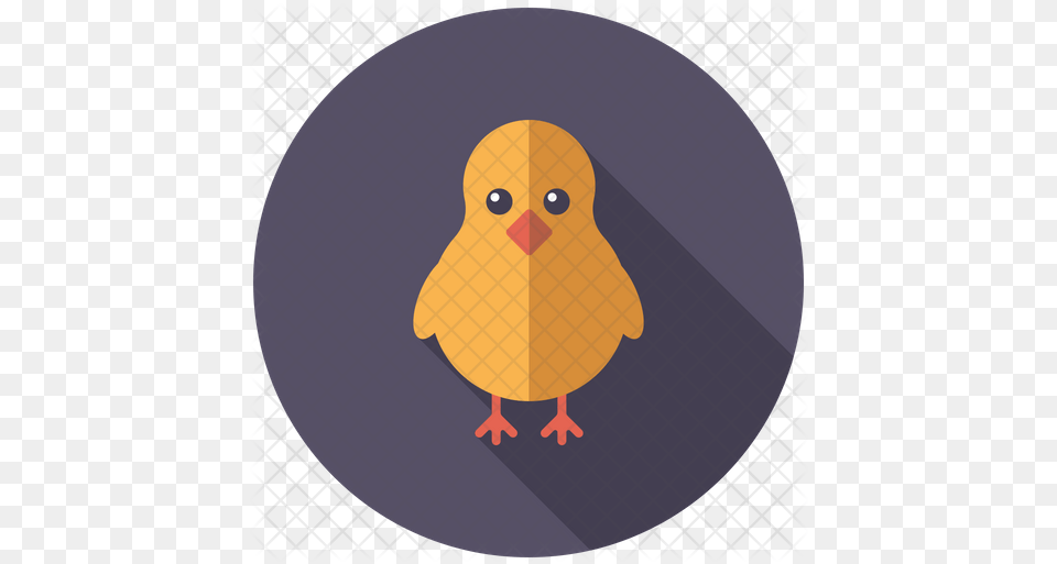 Baby Chicken Icon Soft, Animal, Bird, Beak Free Png