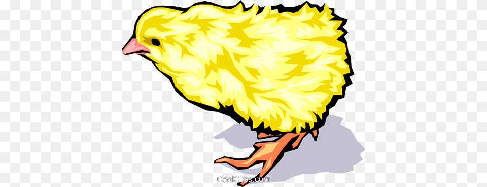 Baby Chicken Royalty Vector Clip Art Illustration Baby Chicken, Animal, Bird, Beak, Fowl Png Image