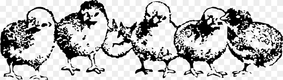 Baby Chickens Clipart Black Amp White, Gray Png Image