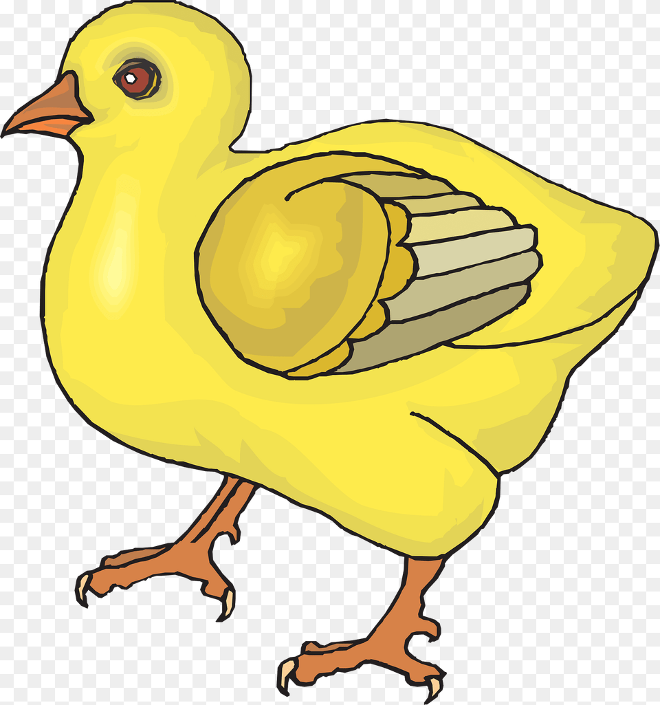 Baby Clipart, Animal, Bird, Beak Png Image