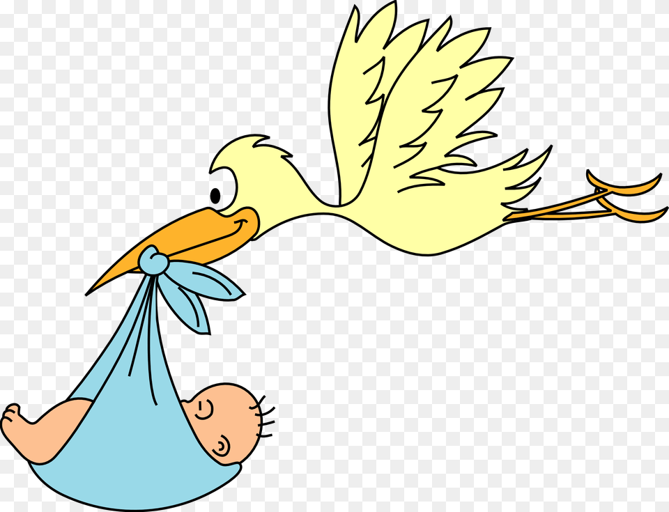 Baby Clipart, Cartoon, Animal, Beak, Bird Free Png
