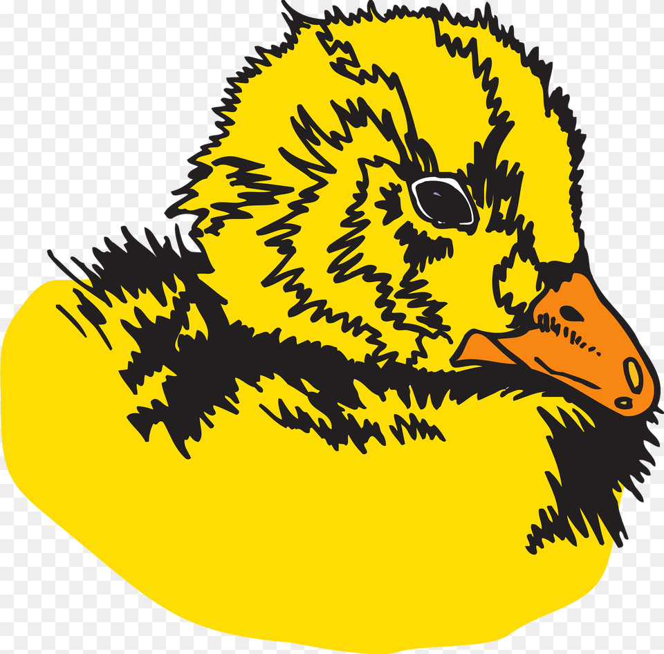 Baby Clipart, Animal, Beak, Bird, Duck Png Image