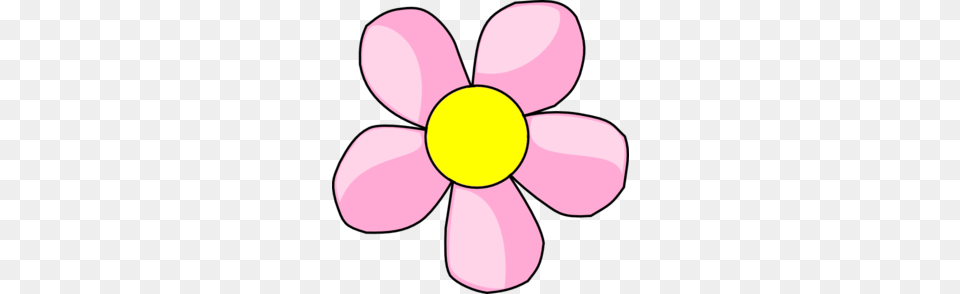 Baby Clipart Flower, Anemone, Daisy, Petal, Plant Free Png