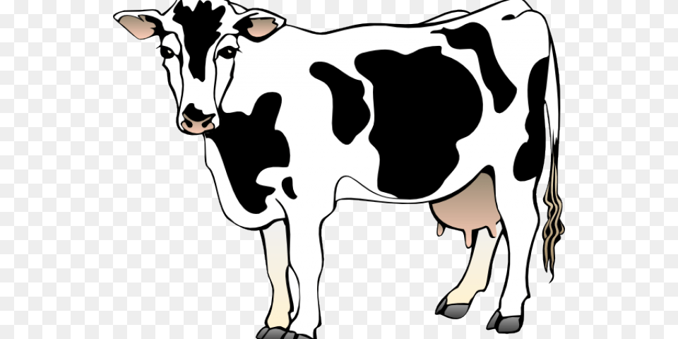 Baby Cow Cliparts Animated Of Cow, Dairy Cow, Animal, Cattle, Mammal Png Image