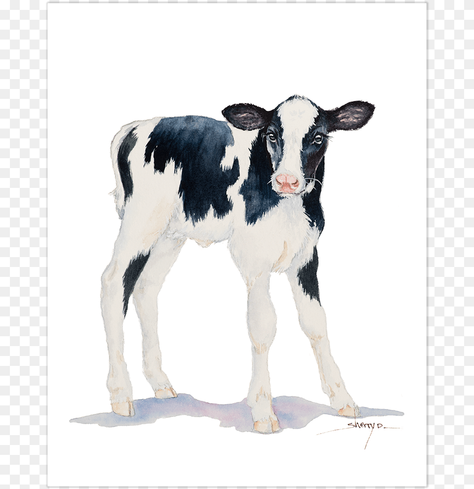 Baby Cow Wall Art Baby Of Cow, Animal, Calf, Cattle, Livestock Png Image