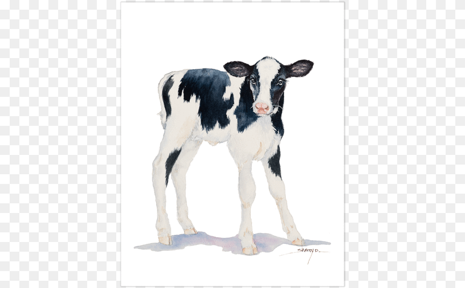 Baby Cow Wall Artquotclass Cow Images Small, Animal, Calf, Cattle, Livestock Png Image