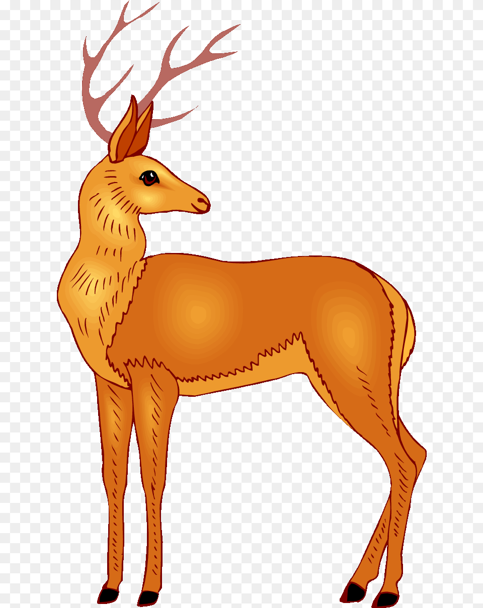 Baby Deer Clipart Clip Art Images Deer Clip Arts, Animal, Mammal, Wildlife, Elk Free Transparent Png