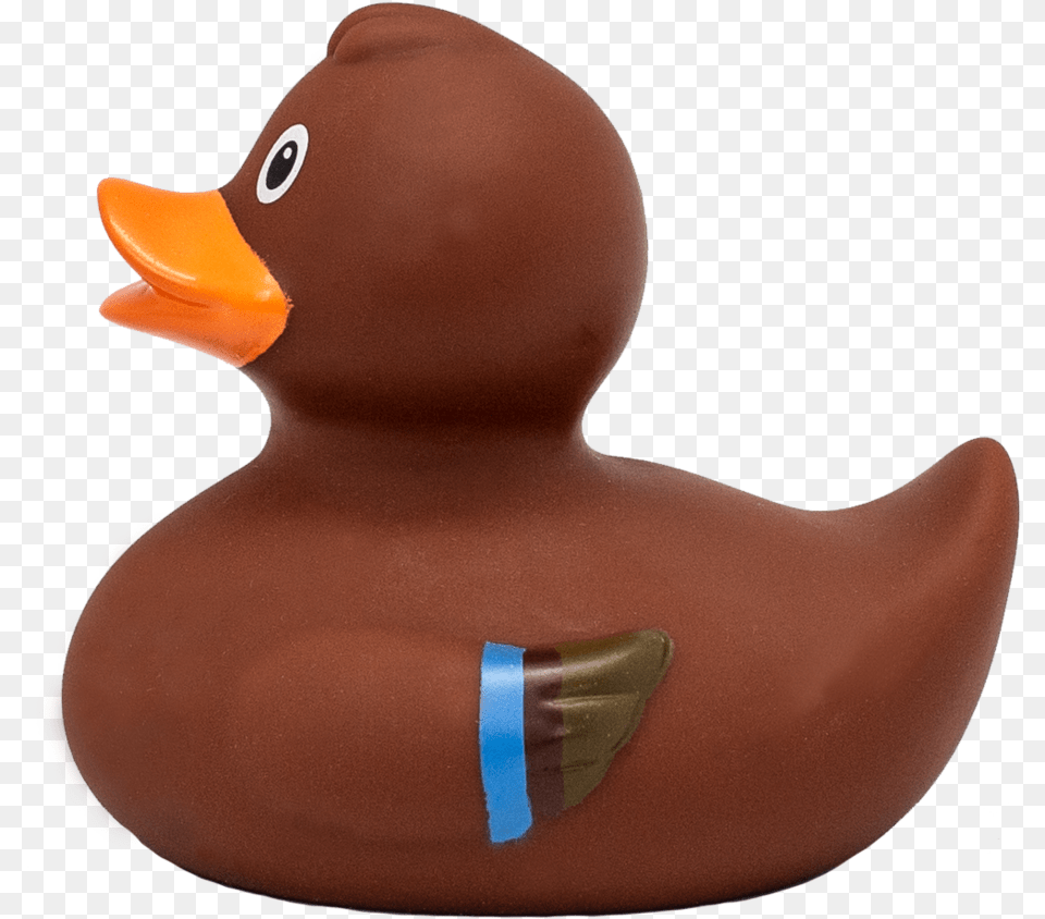 Baby Duck, Animal, Anseriformes, Bird, Waterfowl Free Png Download