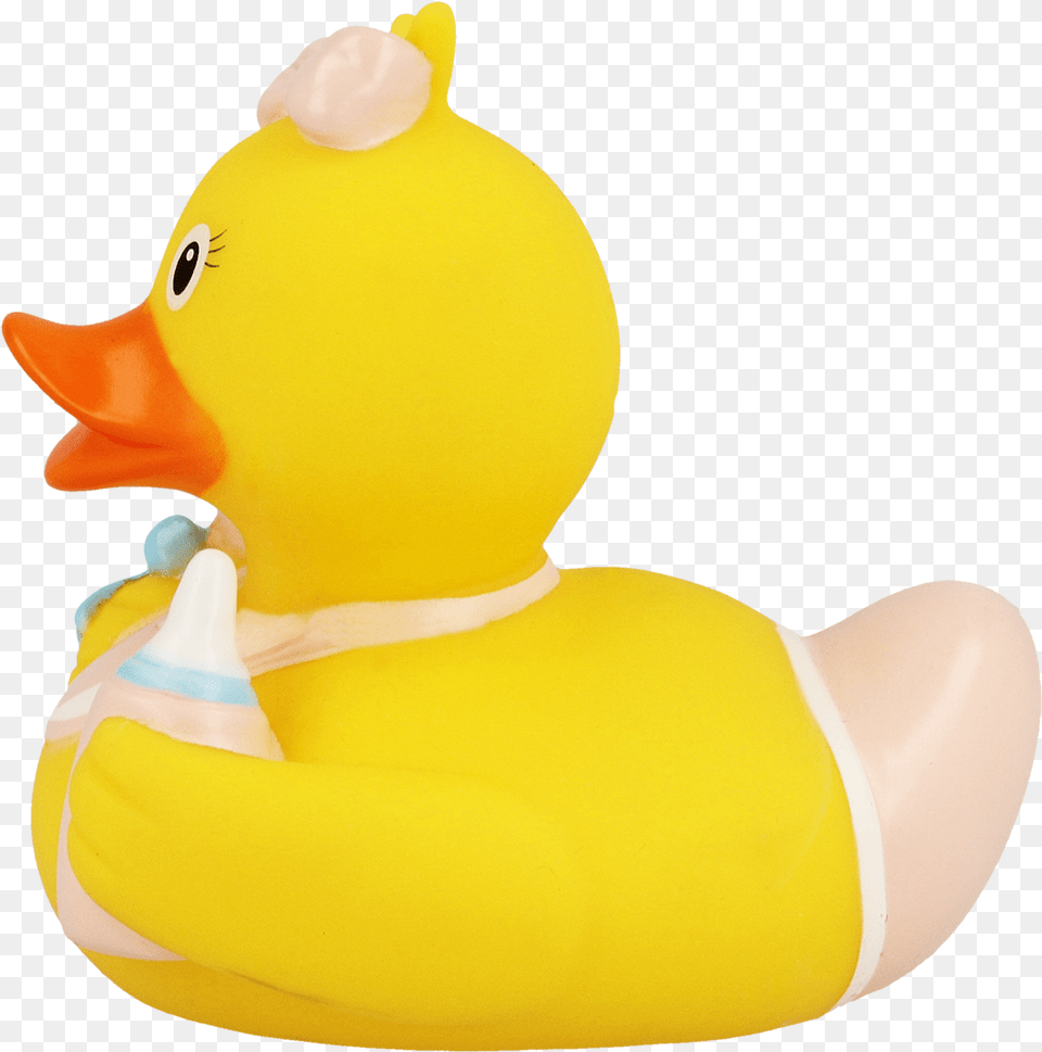 Baby Duck, Animal, Bird, Toy Free Png