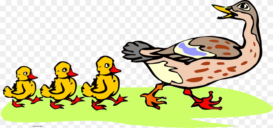 Baby Duck Clip Art And Babies, Person, Animal, Bird, Fish Free Transparent Png