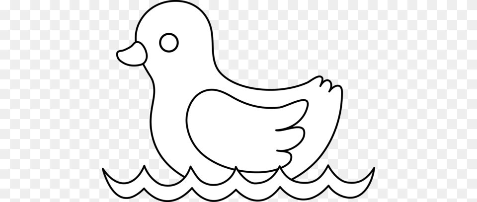 Baby Duck Line Art, Animal, Bird, Pigeon, Dove Png Image