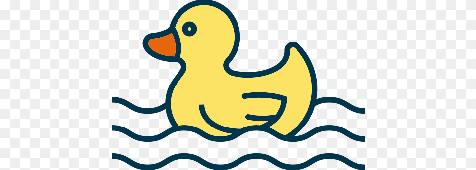 Baby Duckling Water Icon Of Babies Duck, Animal, Bird, Bear, Mammal Free Png Download