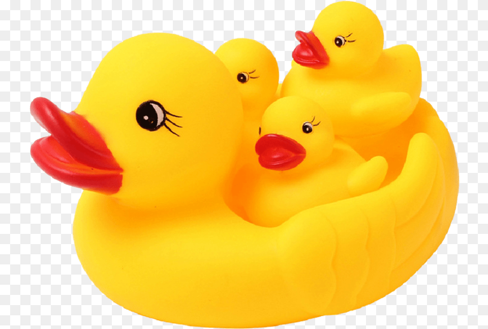 Baby Ducks For Bath, Animal, Bird, Duck Free Png Download