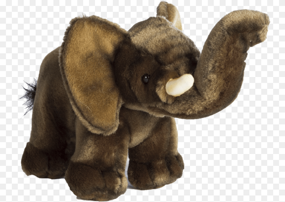 Baby Elephant, Plush, Toy, Animal, Bear Free Transparent Png