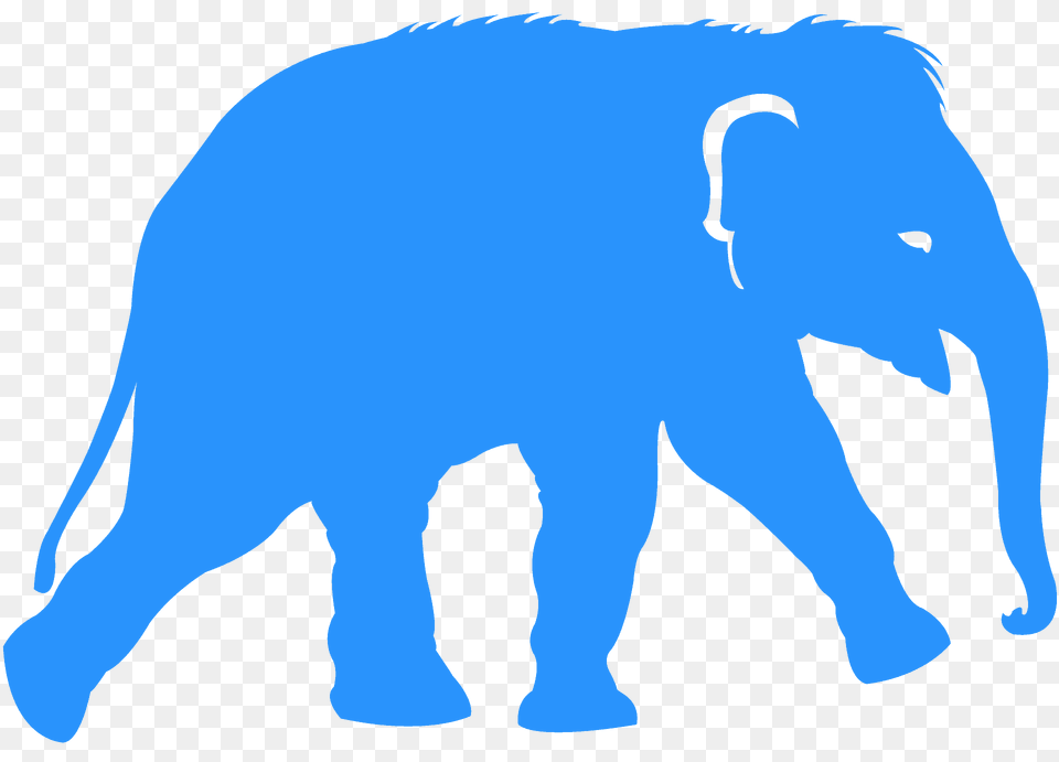 Baby Elephant Silhouette, Animal, Mammal, Wildlife, Bear Png