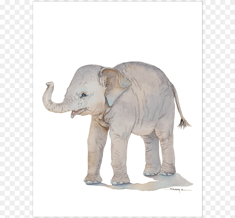 Baby Elephant Wall Art Art, Animal, Mammal, Wildlife Free Png