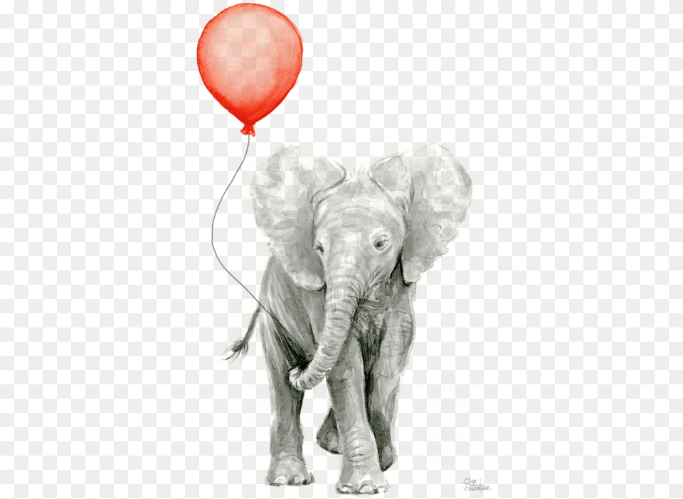 Baby Elephant Watercolor Red Balloon T Shirt Watercolor Baby Animal Art, Mammal, Wildlife Png Image