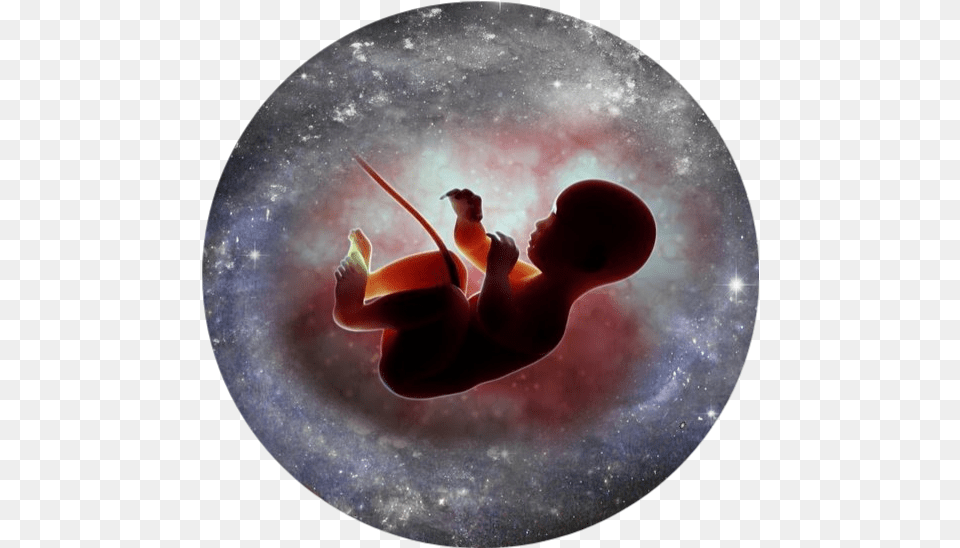 Baby Fetus Embryo Womb Mother Child Week Does Baby Heart Start Beating, Nature, Night, Outdoors, Astronomy Png