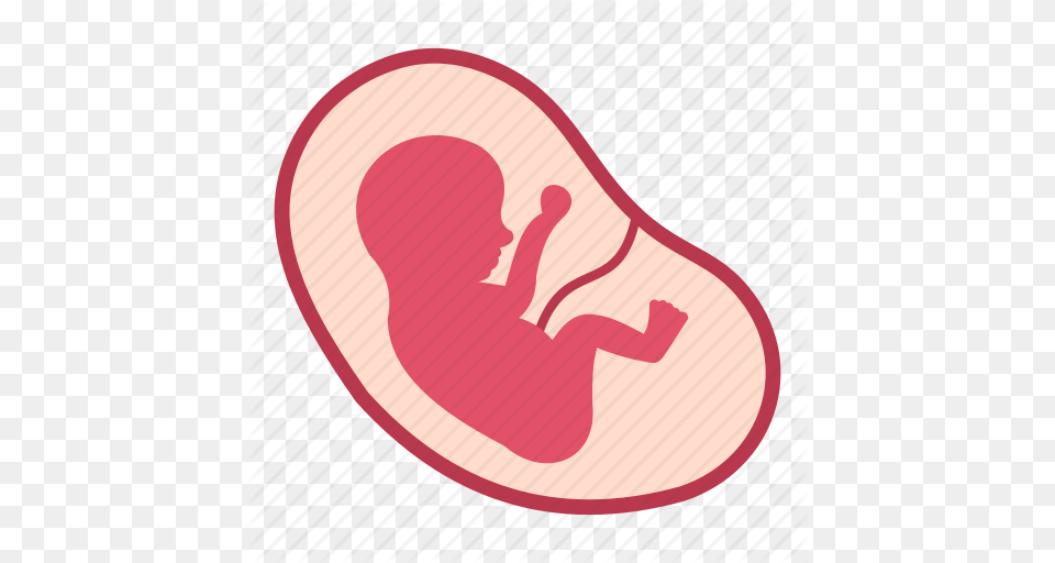 Baby Fetus Human Life Medical Pregnancy Womb Icon, Body Part, Ear Free Png