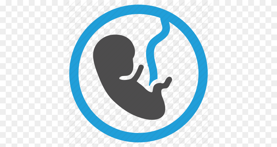 Baby Fetus Obstetrics Pregnancy Icon, Person Free Transparent Png
