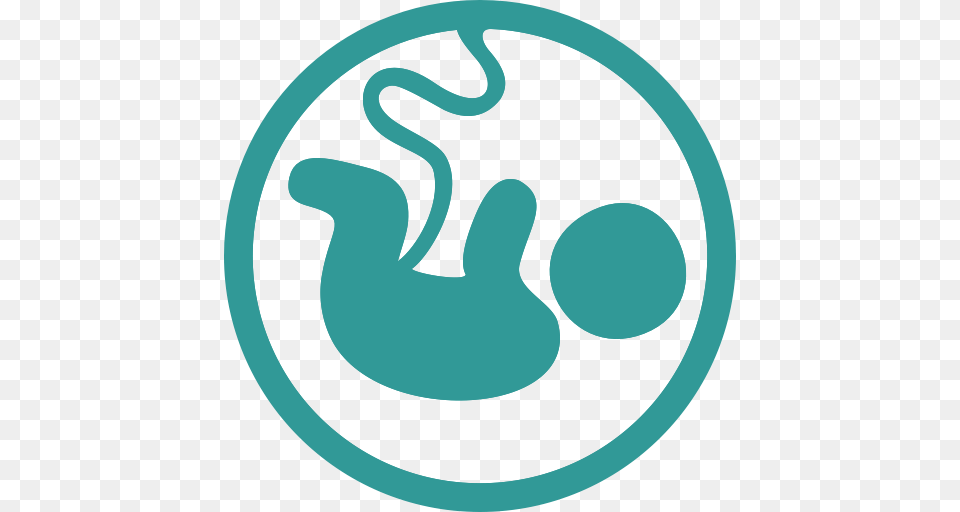 Baby Fetus Pregnancy Icon Free Png Download