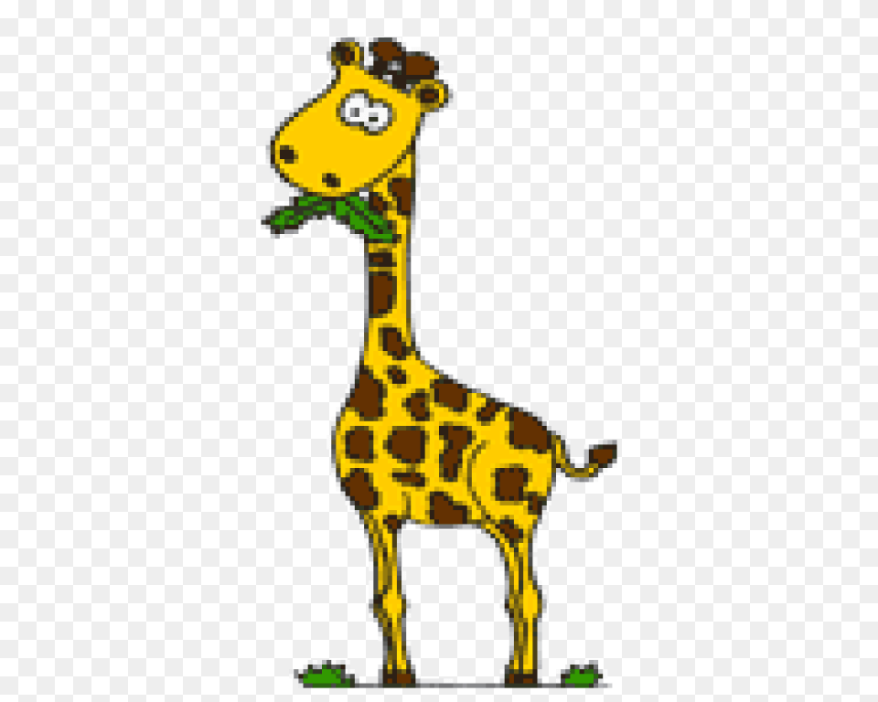 Baby Giraffe Clip Art Vector Graphics, Animal, Mammal, Wildlife Png Image