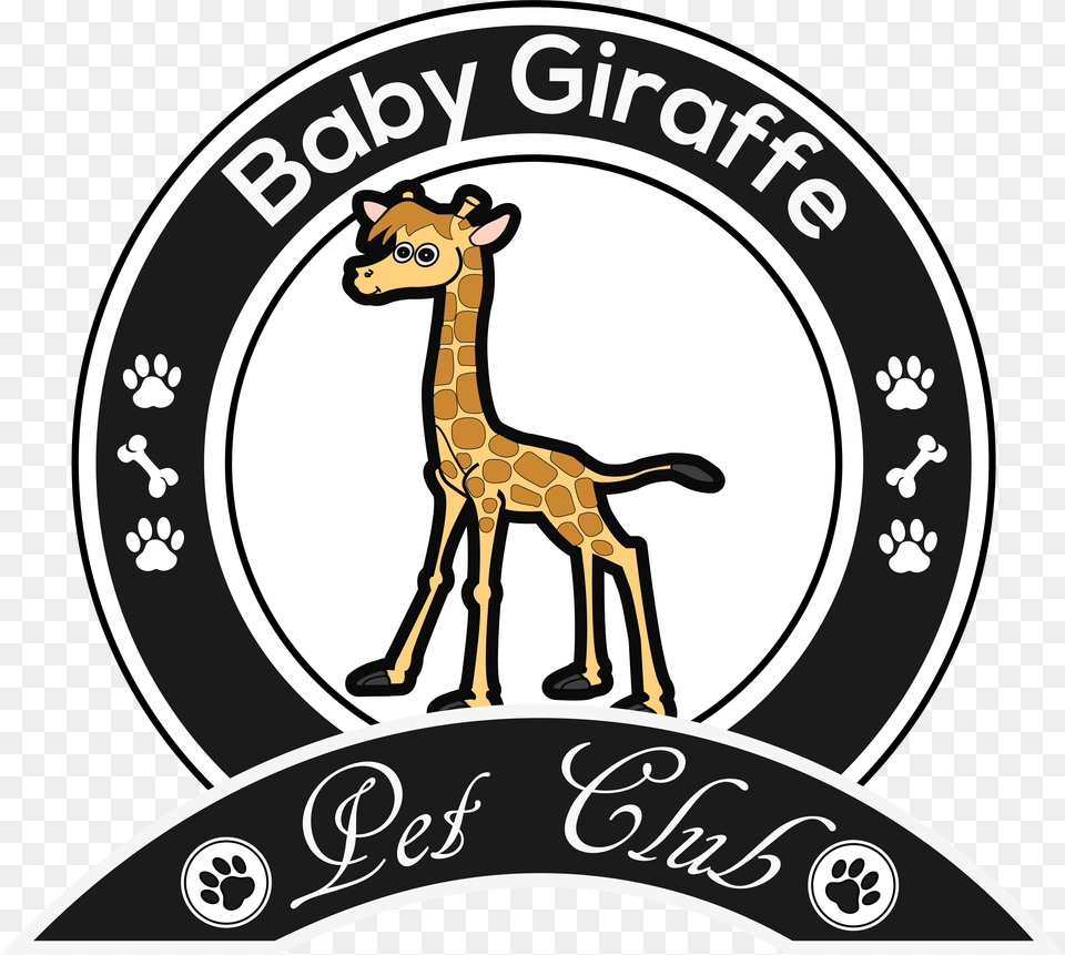 Baby Giraffe Pig, Animal, Mammal, Wildlife Png Image
