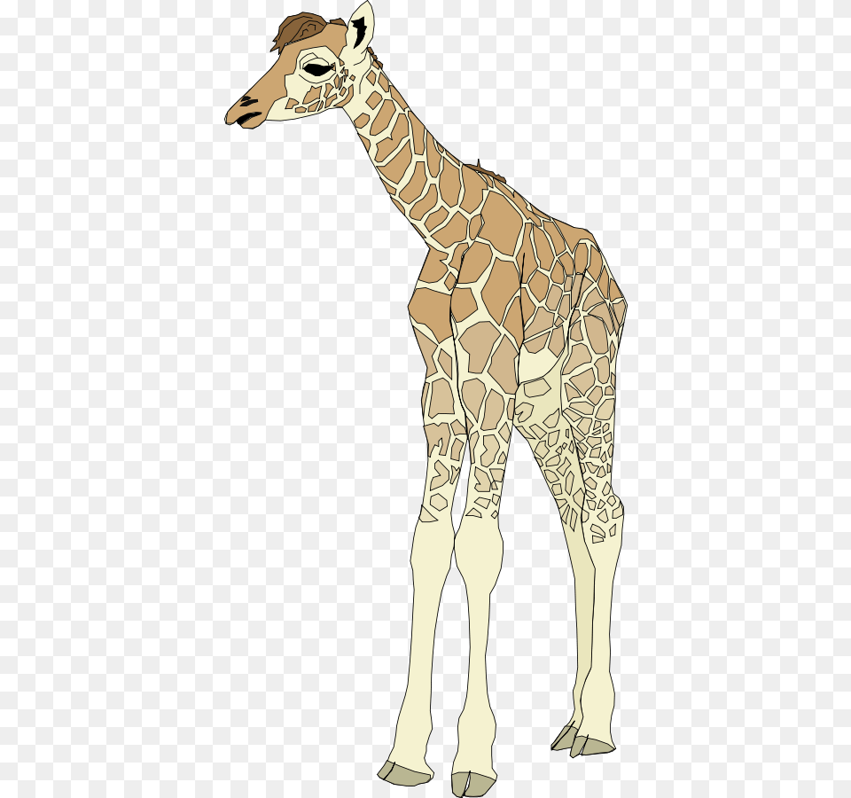 Baby Giraffe Svg Clip Arts Giraffe Clip Art, Adult, Person, Man, Mammal Free Png Download