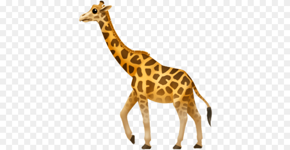 Baby Giraffe Transparent Image Giraffe Emoji Apple, Animal, Mammal, Wildlife Free Png Download