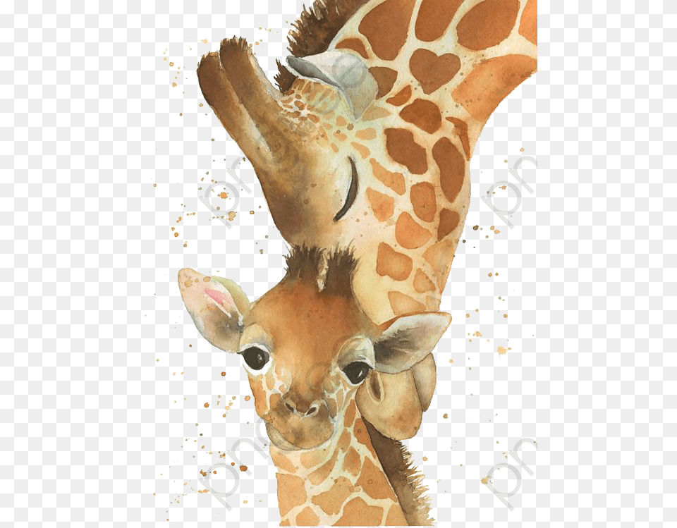 Baby Giraffefollowing Mama Giraffe Clipart Clip Royalty Watercolor Mom And Baby Giraffe, Animal, Mammal, Wildlife Free Png