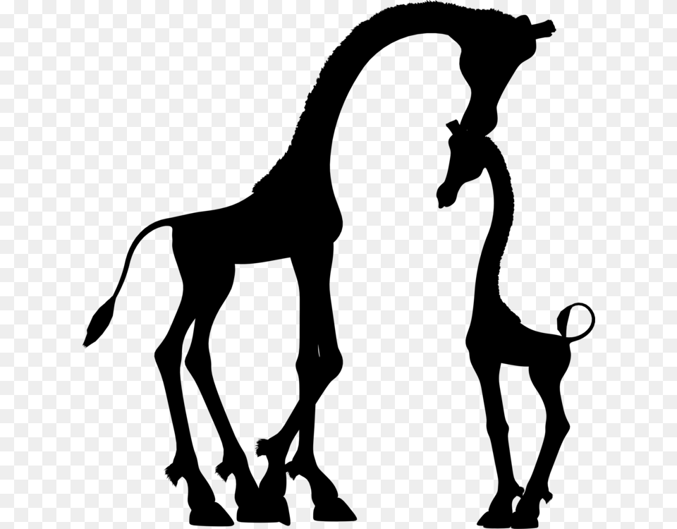 Baby Giraffes Child Infant Silhouette, Gray Png