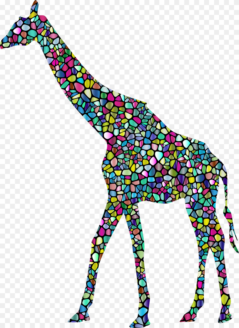 Baby Giraffes West African Giraffe Transparent Background White Giraffe, Art, Person, Animal, Mammal Free Png
