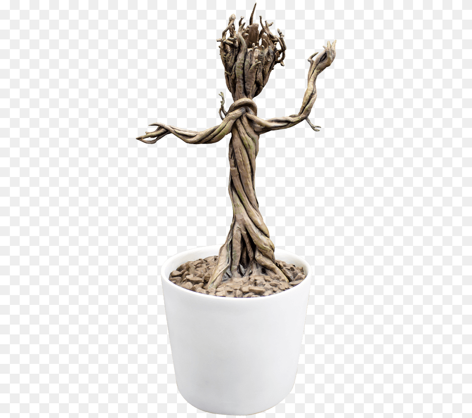 Baby Groot Rocket Raccoon Drax The Destroyer Gamora, Plant, Potted Plant, Tree, Wood Png