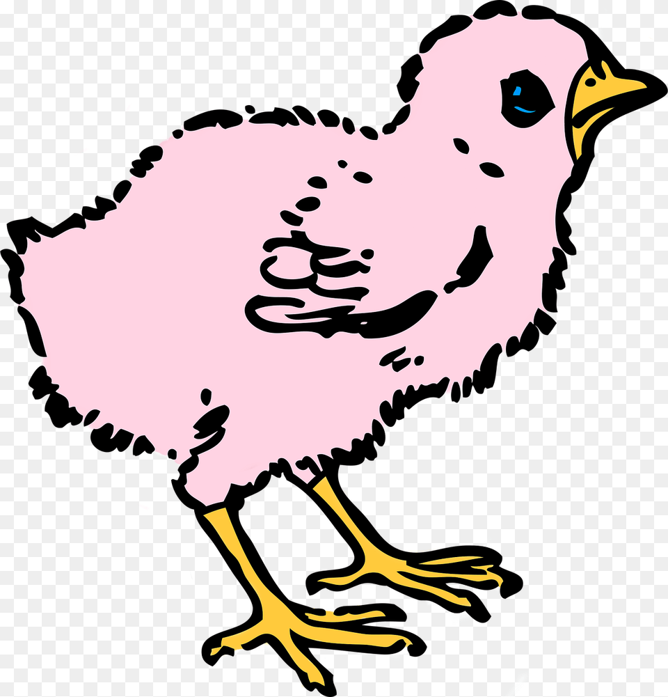 Baby Hen Clipart Black And White, Person, Animal, Fowl, Chicken Free Transparent Png