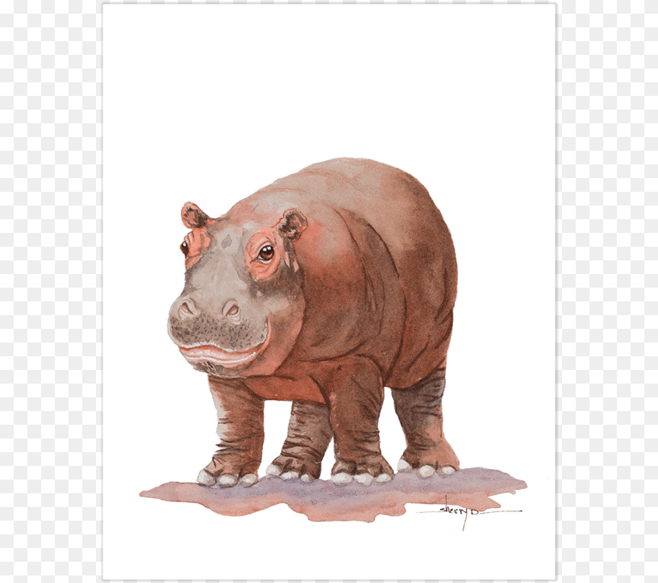 Baby Hippo Wall Artclass Lazyload Blur Upstyle Black Rhinoceros, Animal, Wildlife, Mammal, Elephant Free Png Download