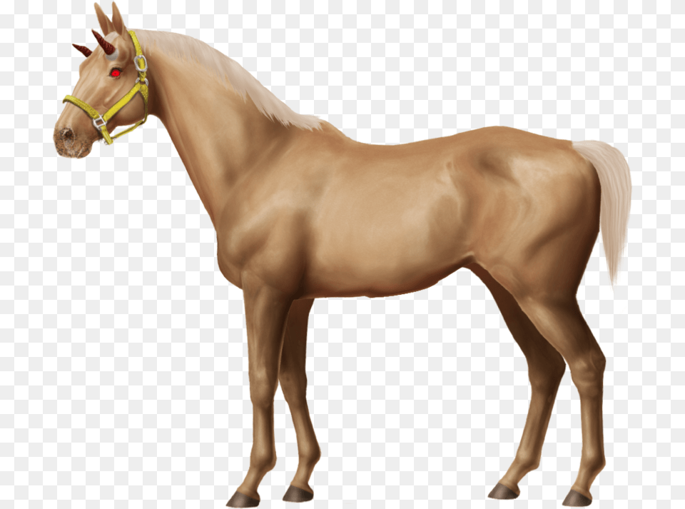 Baby Horse Horseworldonline, Animal, Colt Horse, Mammal Free Transparent Png