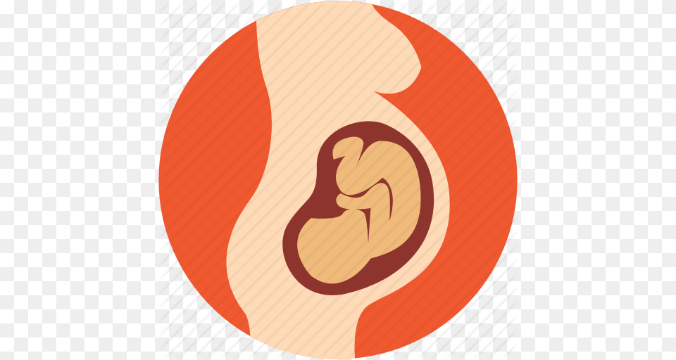 Baby In Womb Baby In Womb Images, Body Part, Ear Free Transparent Png