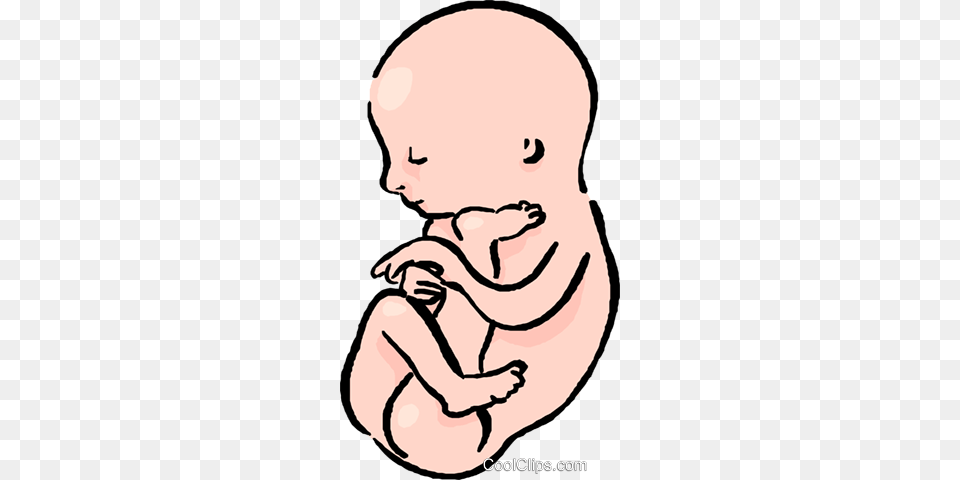 Baby In Womb Baby In Womb, Person, Face, Head Free Transparent Png
