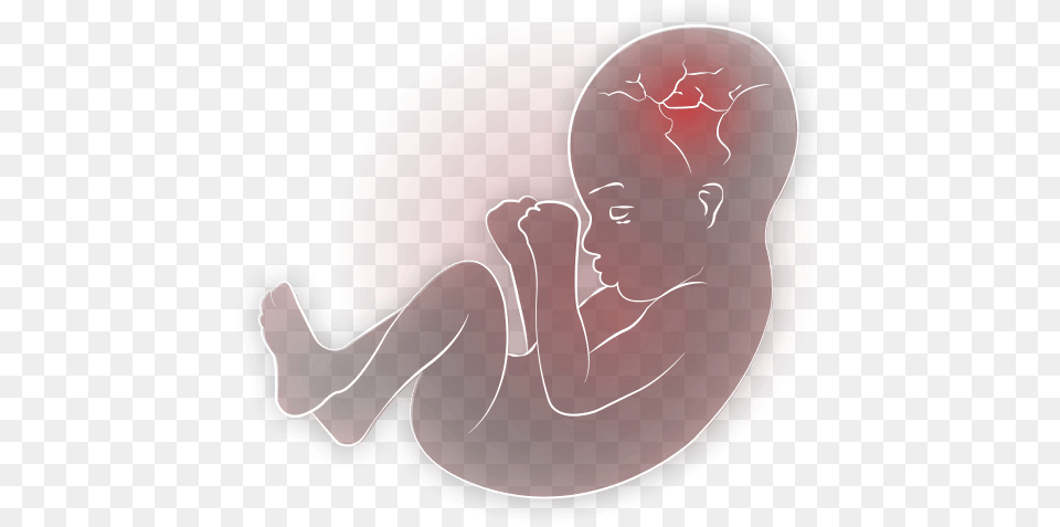 Baby In Womb Transparent Baby In Womb Transparent Baby In Womb Png